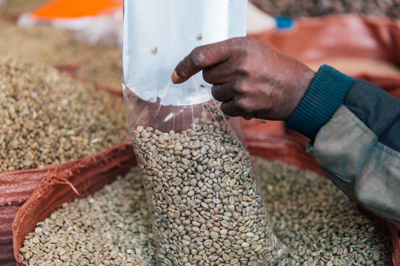 A hand carefully packing green coffee beans into a clear plastic bag amidst a market setting.
